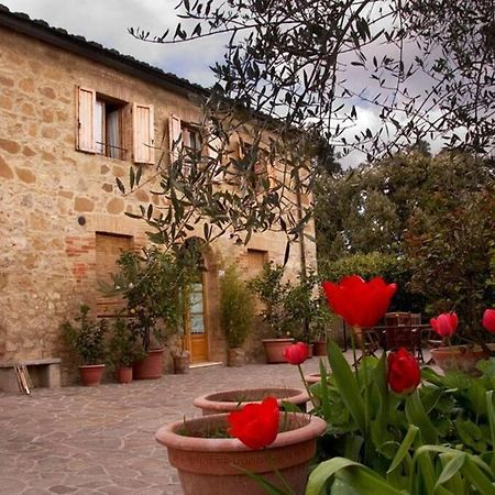 Вілла La Vigna Agriturismo Сієна Екстер'єр фото