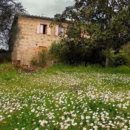 Вілла La Vigna Agriturismo Сієна Екстер'єр фото