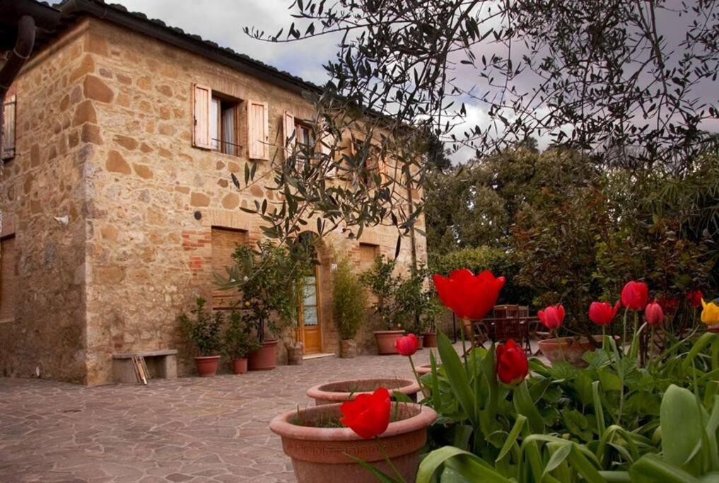 Вілла La Vigna Agriturismo Сієна Екстер'єр фото
