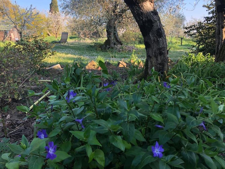 Вілла La Vigna Agriturismo Сієна Екстер'єр фото