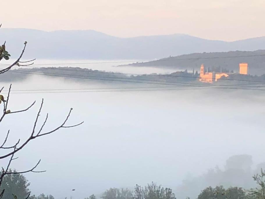 Вілла La Vigna Agriturismo Сієна Екстер'єр фото
