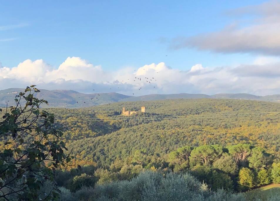 Вілла La Vigna Agriturismo Сієна Екстер'єр фото